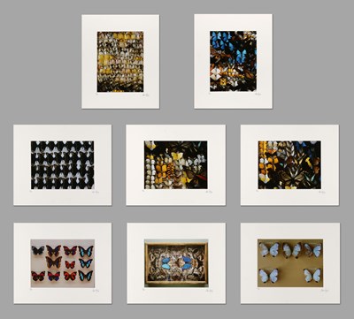 Lot 53 - Paul Huf (1924-2002) - set van 8 C-Print Foto’s “Butterflies”. 1985