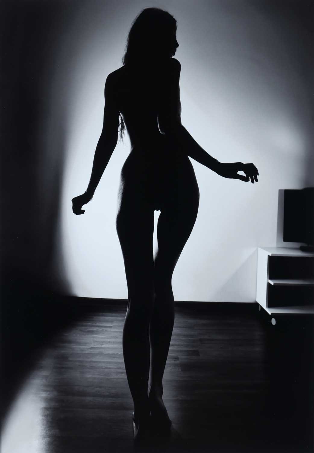 Lot 1 - Fotografie - Dimitri Savchenko "Silhouette" 2018