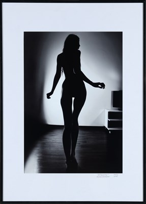 Lot 1 - Fotografie - Dimitri Savchenko "Silhouette" 2018
