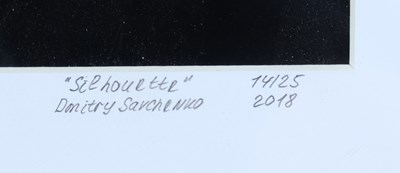 Lot 1 - Fotografie - Dimitri Savchenko "Silhouette" 2018