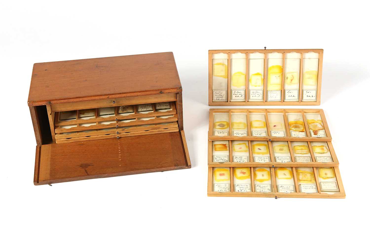 Lot 162 - A Collection of Microscope slides, circa 1920