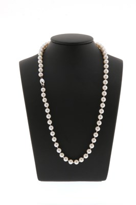 Lot 427 - Pearl Necklace with 18K White Gold Lock