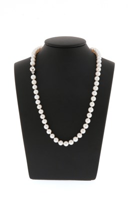 Lot 764 - Necklace with Cultured Pearls and Silver Lock