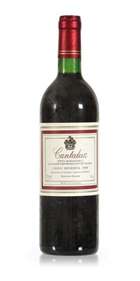 Lot 450 - 2 flessen 'Cantaluz Gran Reserva', 1989