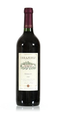 Lot 456 - 16 flessen 'Errazuriz Merlot', 1997