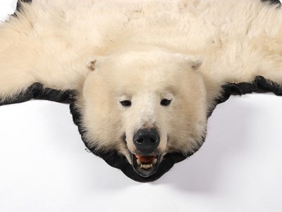 Lot 177 - A Polar Bear Skin Rug