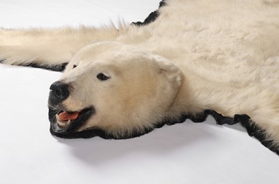 Lot 177 - A Polar Bear Skin Rug