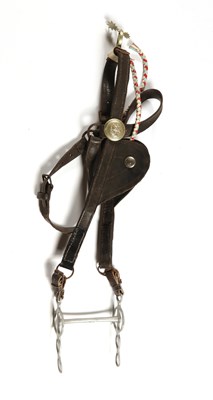 Lot 509 - Antique horse harness, consisting of a leather horse harness with hames, bridle and saddle