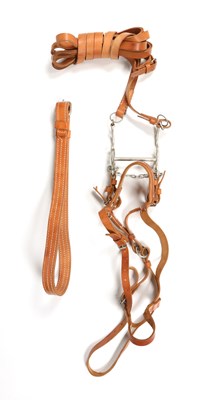Lot 541 - Leather horse harness with briddle