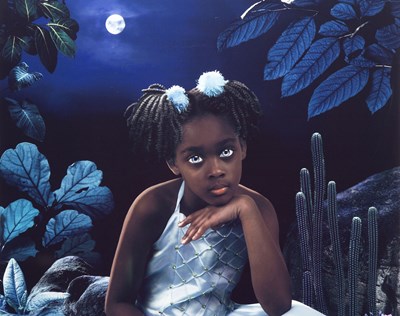 Lot 184 - Ruud VAN EMPEL (1958)