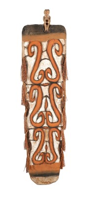 Lot 259 - Asmat War Shield