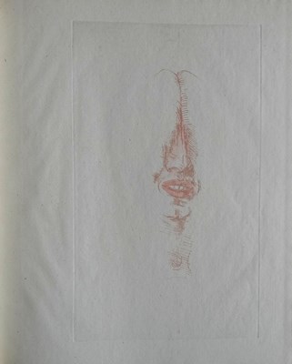 Lot 20 - Geurt Van Dijk (1941). Een serie vergezichten getiteld: "gezicht in de spiegel".